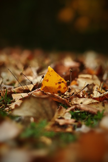 进一步巩固 进一步巩固