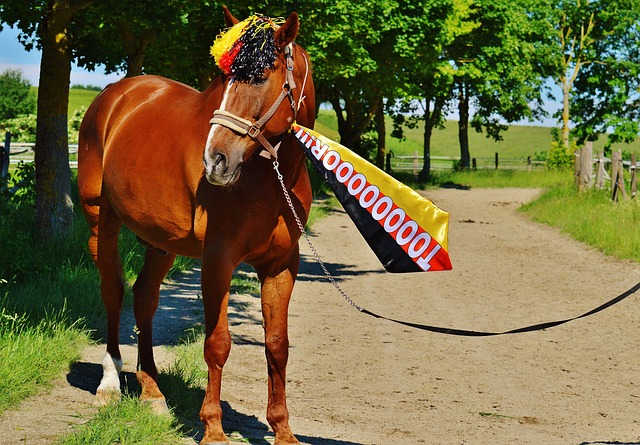 急剧提升 急剧提升