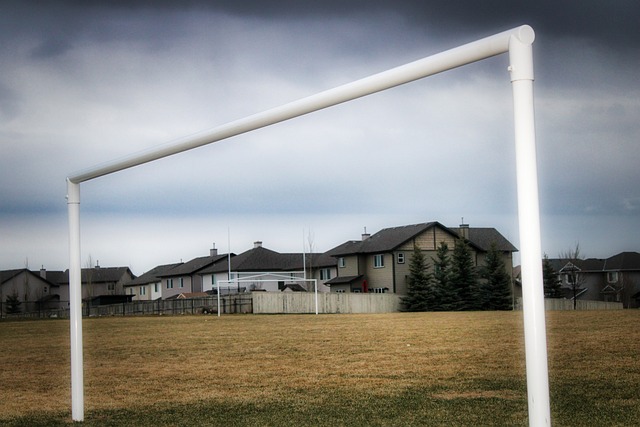 他过度依赖 他过度依赖