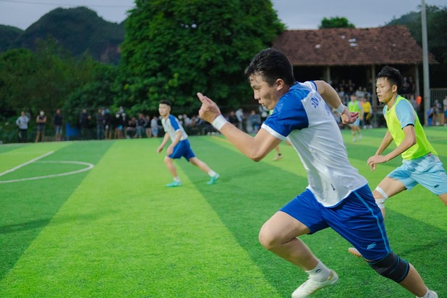 迅速投入训 迅速投入训