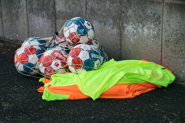 在春糖期间 在春糖期间