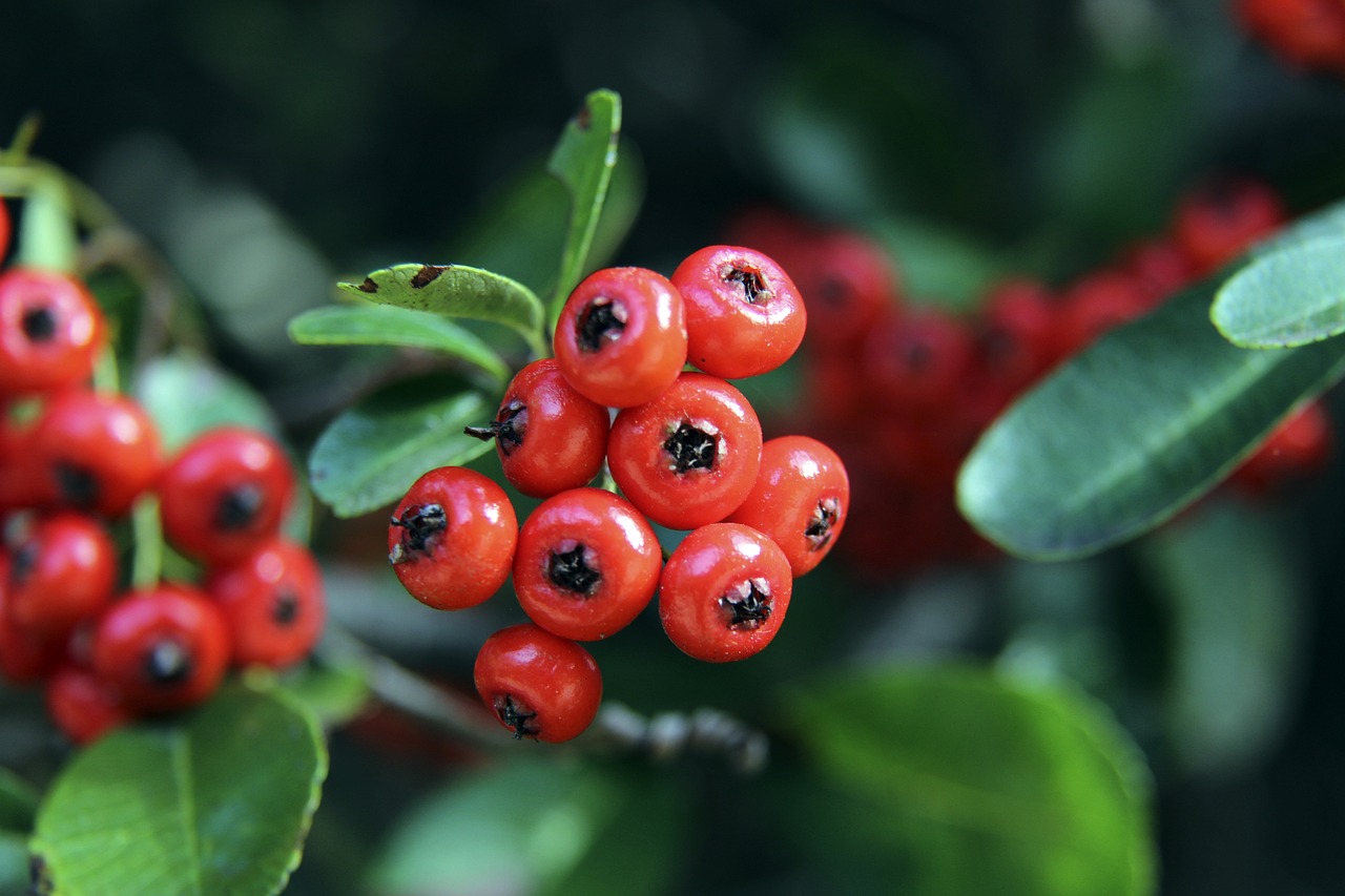 一直以来都 一直以来都