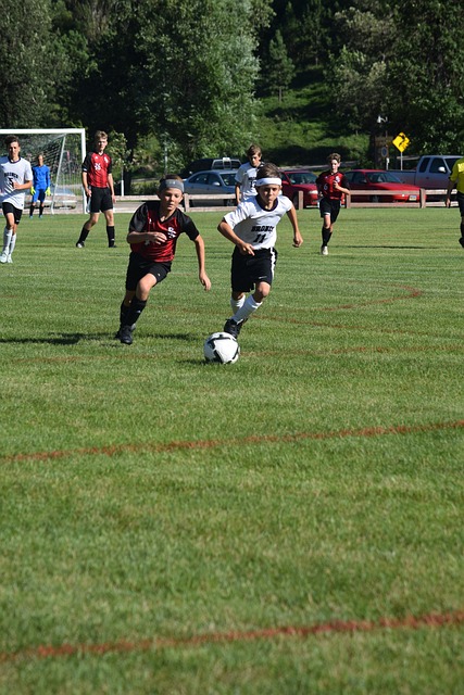 能力帮助快 能力帮助快