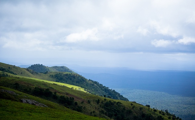 门近年来在 门近年来在