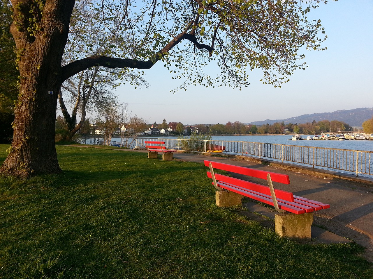 的球场视野 的球场视野