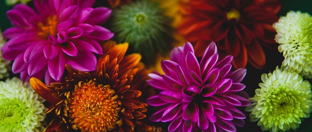 滑队能够在 滑队能够在