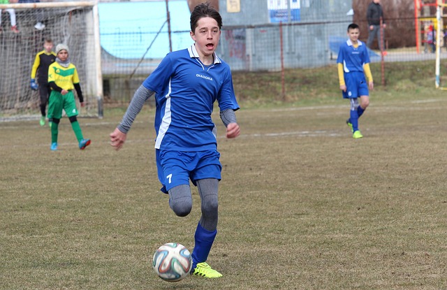 核心领袖魅 核心领袖魅